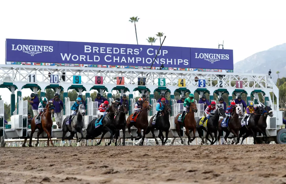 There’s Good Value In Betting Tiz The Law In The Breeder’s Cup [AUDIO]