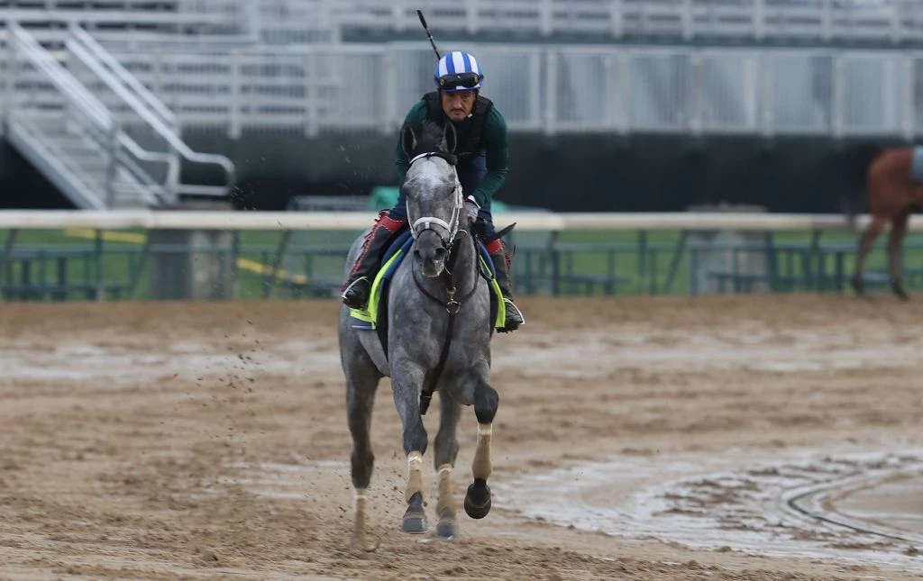 Lo Duca Joining NYRA's 'Saratoga Live' Broadcast Team - Horse