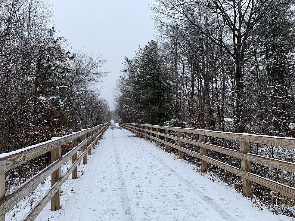 Great Time For A Late Winter Walk On The Albany Rail Trail