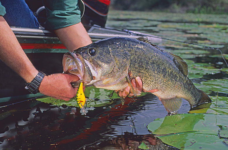 New York Announces New Freshwater Fishing Rules