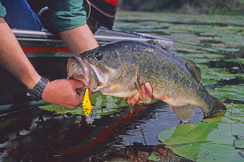 New Freshwater Fishing Rules For New York State