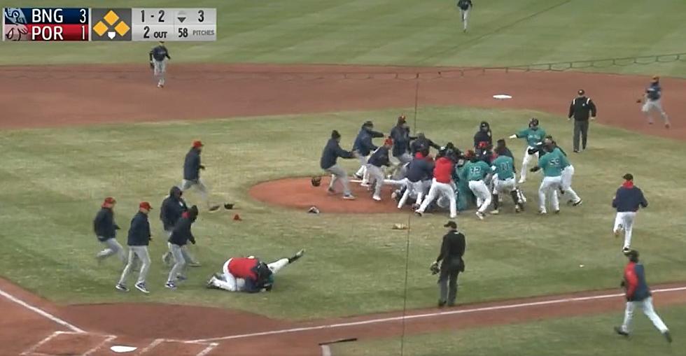 Watch the Punches Fly at this New York Minor League Baseball Game