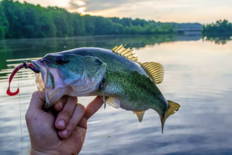 bass coght by sunrise