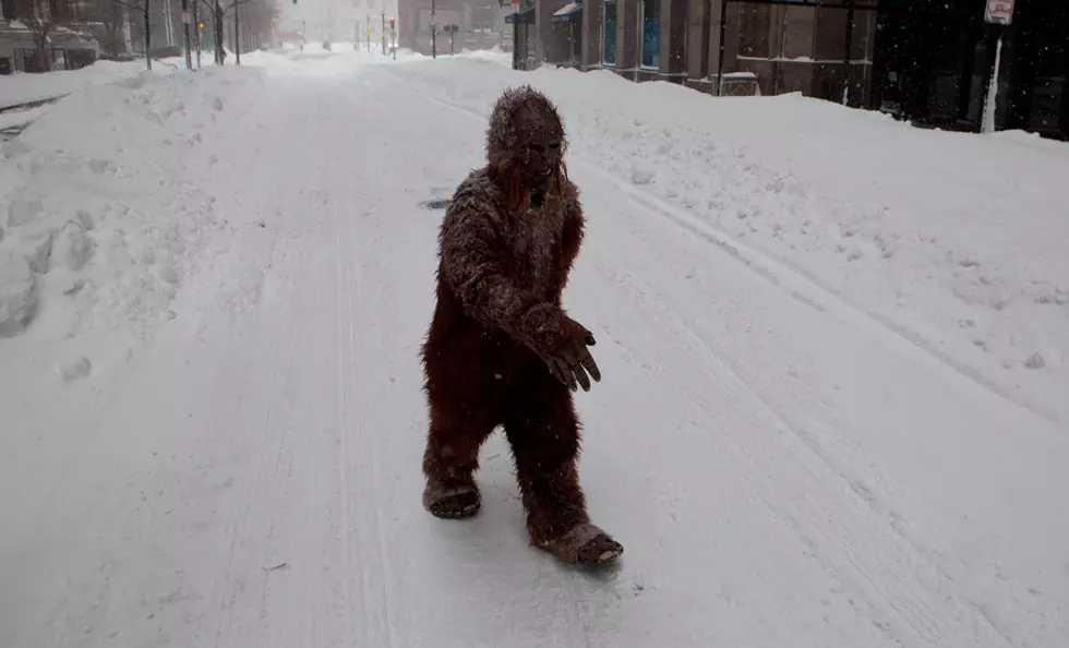 It&#8217;s Truly Insane That New Yorkers Have &#8216;Seen&#8217; Bigfoot This Many Times