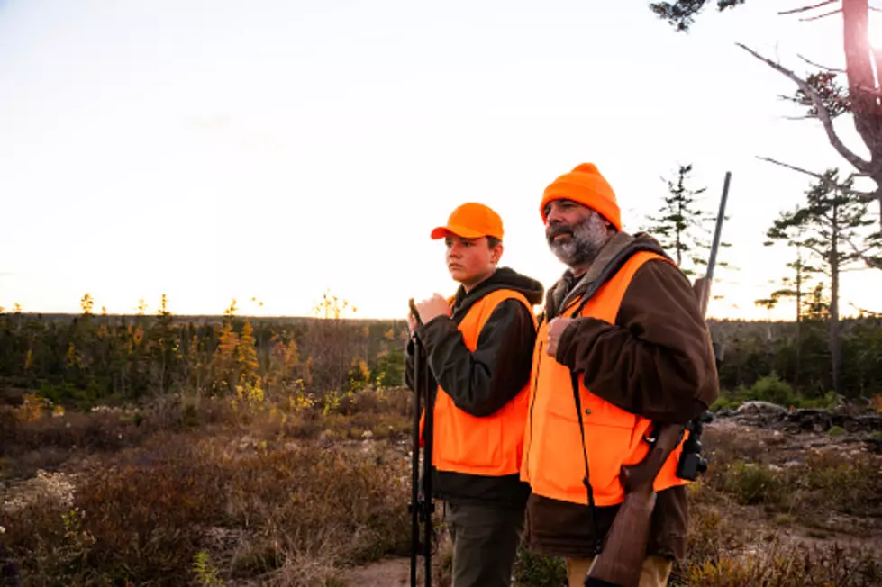 Is Hunting In New York State Safer Than Ever?