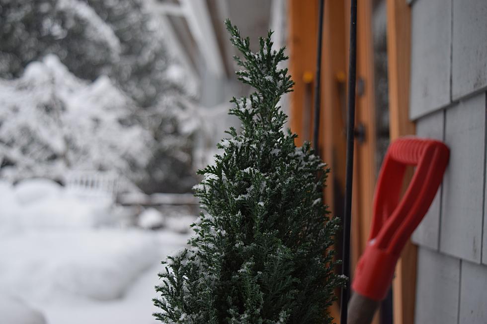 Upstate New York Could Face Heavy Snow in Second Storm of Week