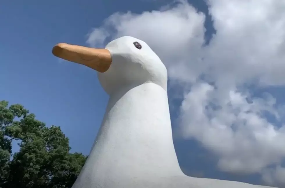 Get Inside New York's Big Duck