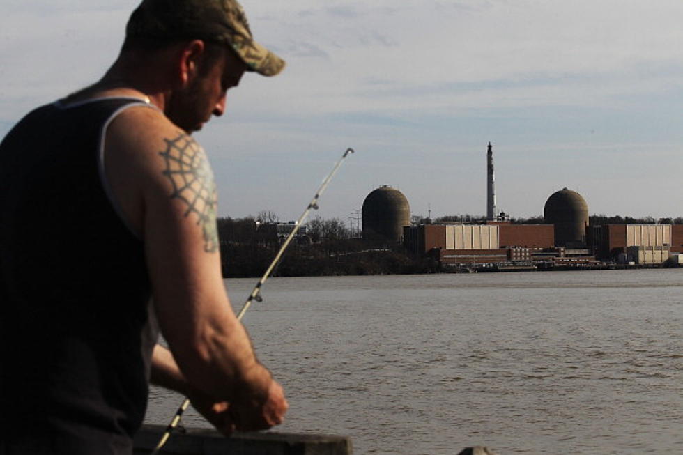 Radioactive Water Dump Into Hudson River Planned For Late Summer