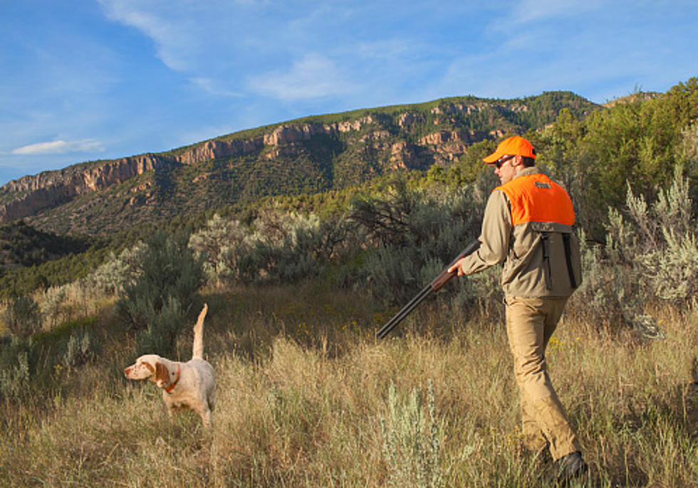 Small Game Hunting In New York Begins On Sunday – Wear Orange