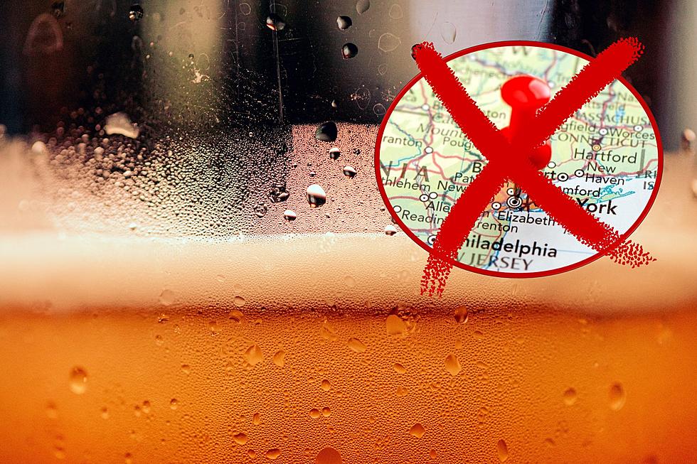 Study: New York is NOT the Best State for Beer-Lovers, Which State Is?