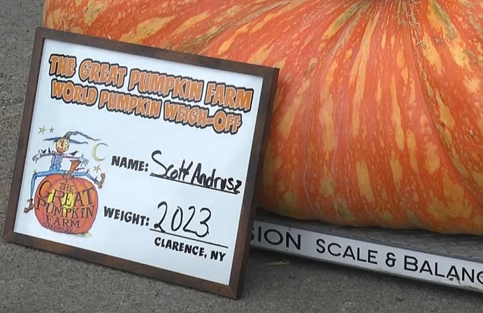 Good Gourd! Upstate New York-Grown Pumpkin Named World’s Best