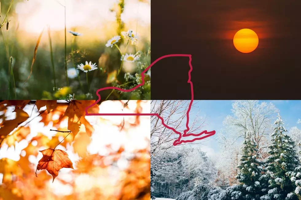 Viral Post on ‘X’ Shares ‘Thirteen Seasons of Upstate NY’, Do You Know These?