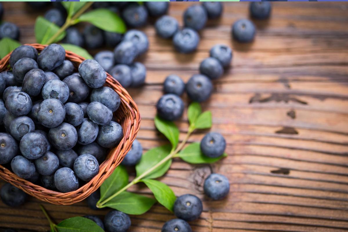 Local Blueberry festivals coming to upstate New York!