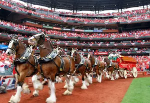 St. Louis Cardinals 2016 Opening Day: Let&#8217;s Celebrate