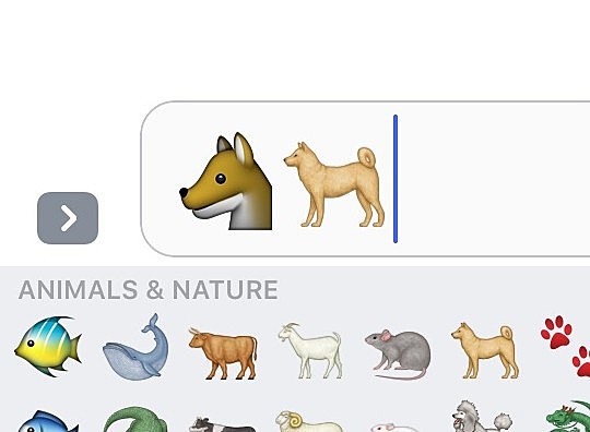 animal text symbols iphone