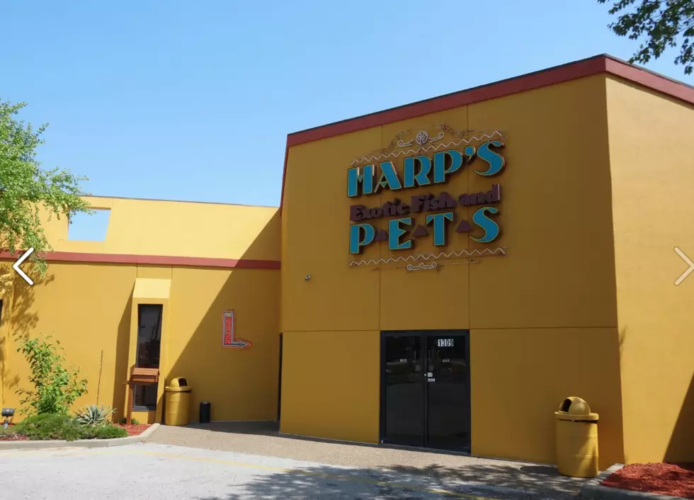 Harps Exotic Fish &#038; Pets Store Closing Business