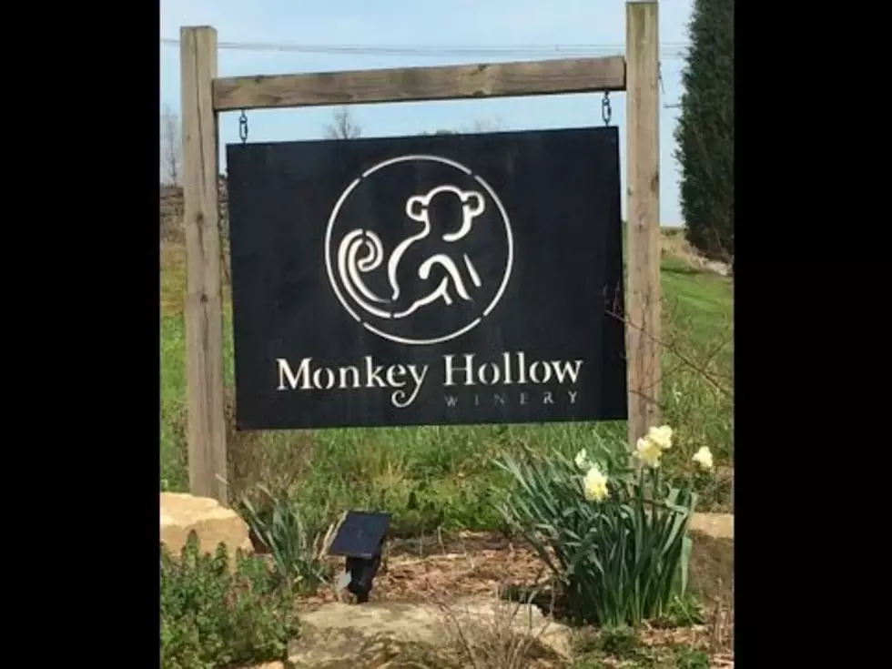 Monkey Hollow Winery Offers Moonshine &#038; other Distillery Drinks [Video]