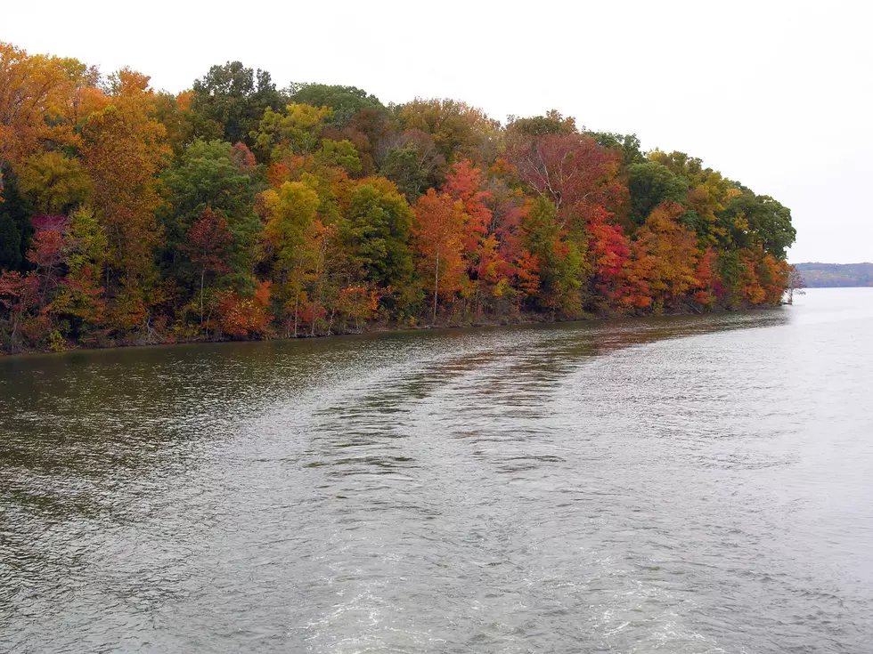 Take a Fall Foliage Wine Cruise at Patoka Lake