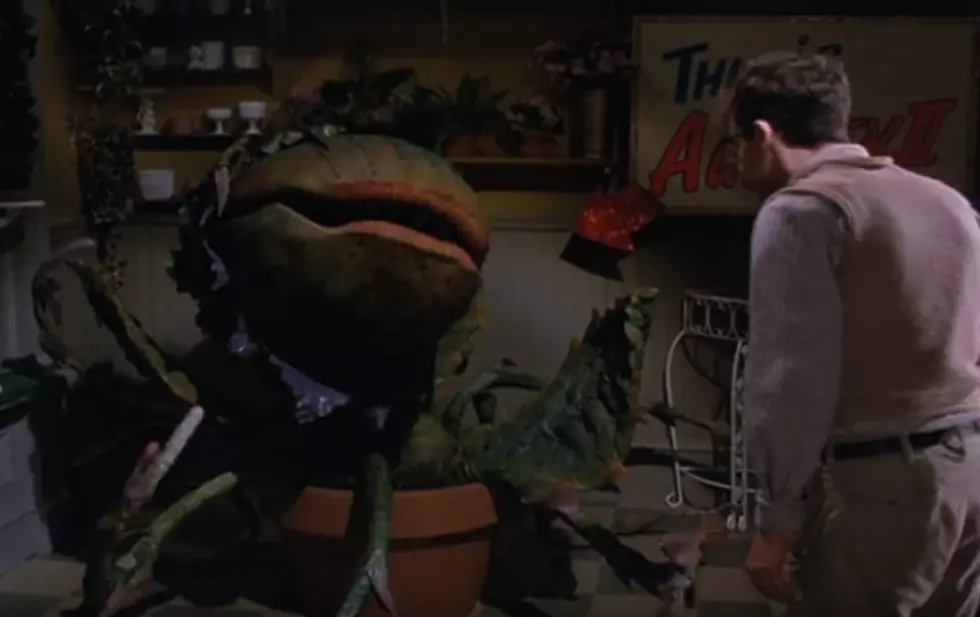 ‘Little Shop of Horrors’ Returns to Theaters With Original Ending