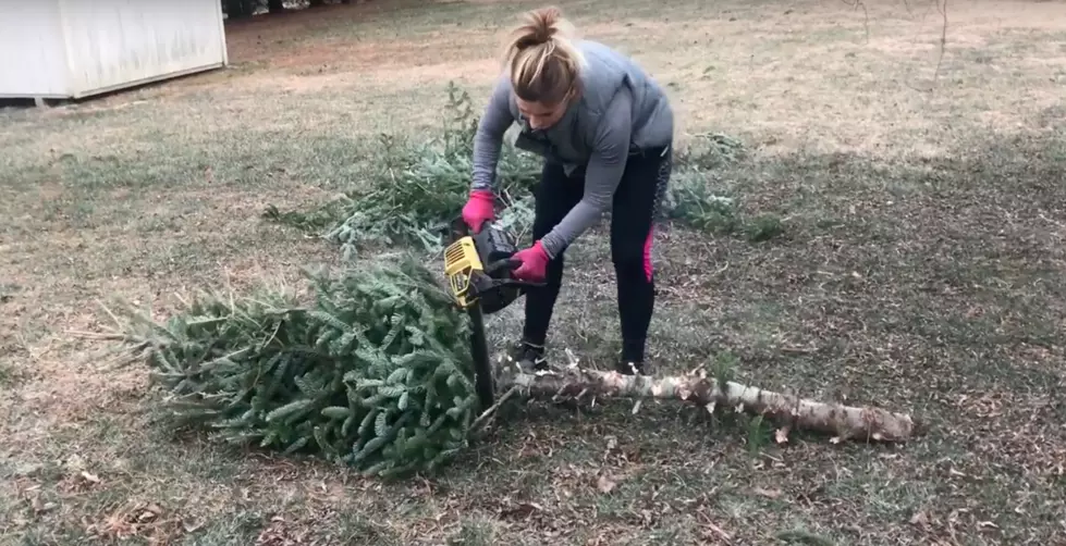 What To Do With A Christmas Tree After Christmas