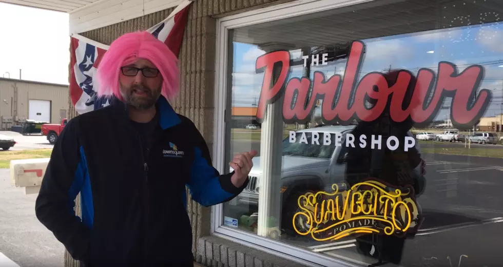 Bobby's Pink BigWig Gets a Much Needed Haircut [Video]