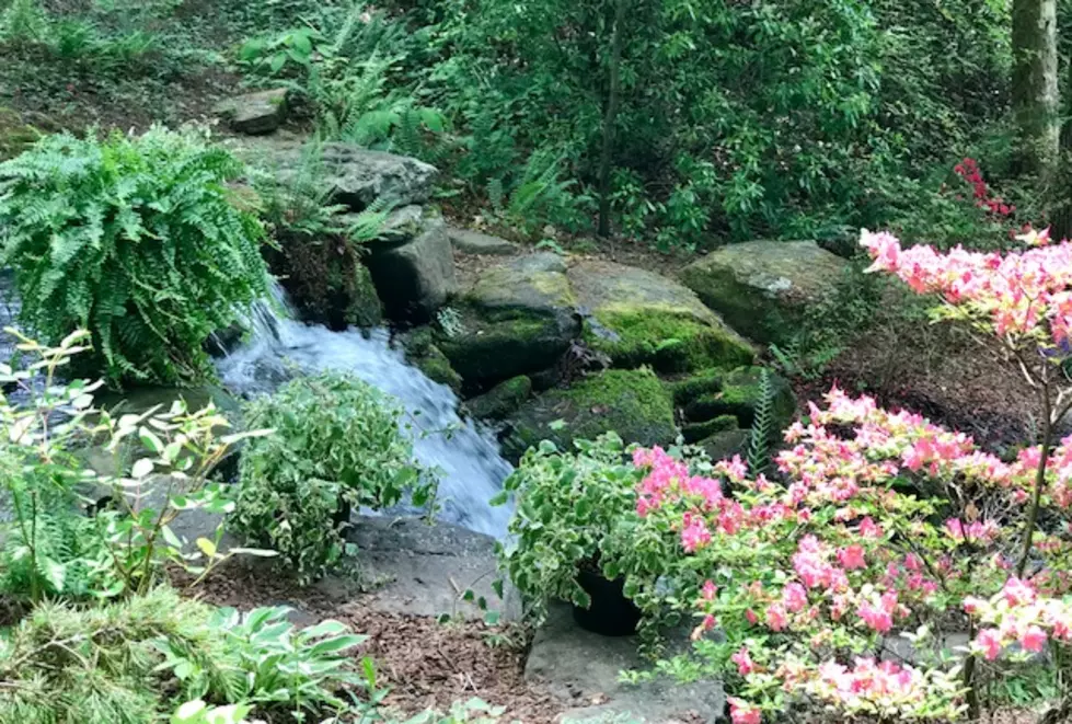Azalea Path, Hazelton, IN