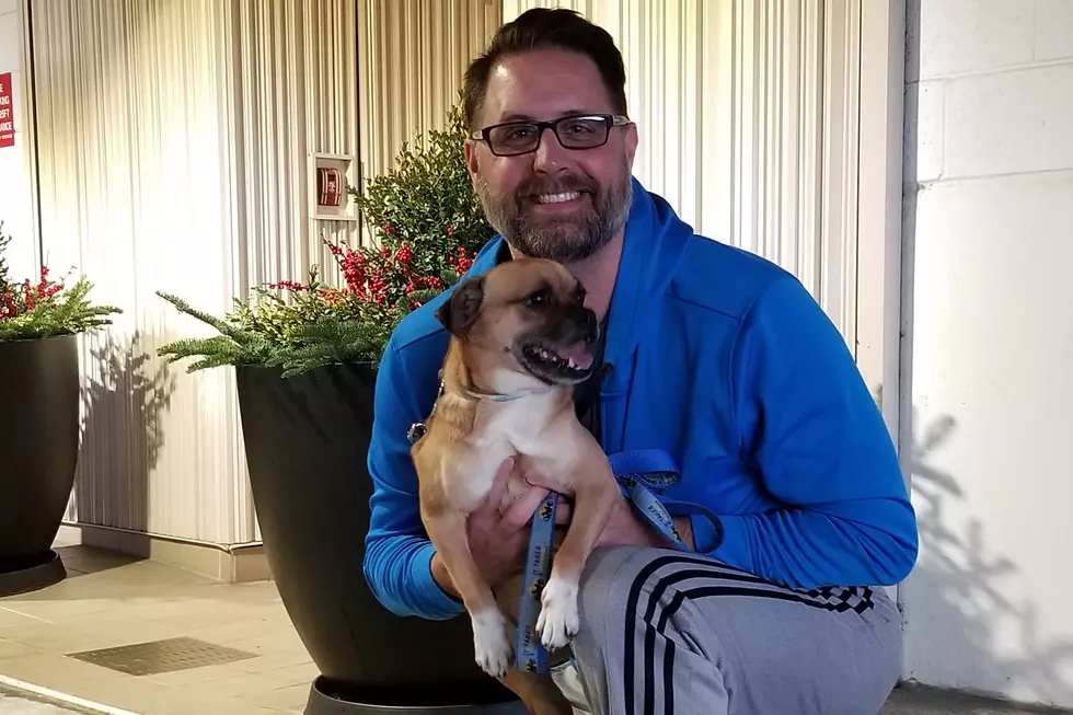 MY105.3 Fursday Pet of the Week – KING [Video]