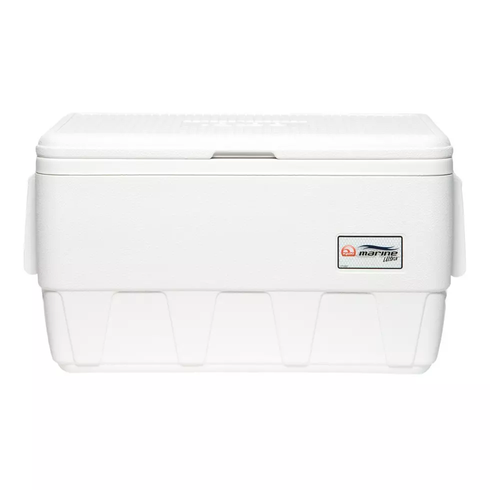 Igloo Issues Recall After Child is Locked in Cooler