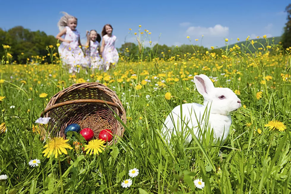 Hop Over to Castle HS for Breakfast with the Easter Bunny