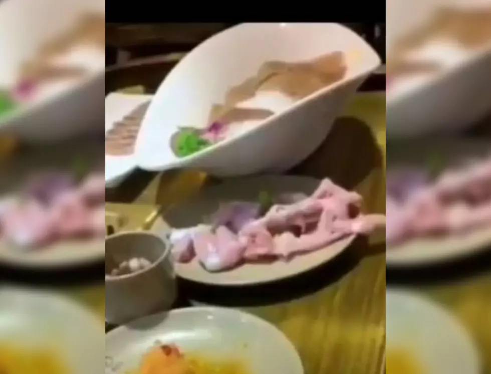 [VIRAL VIDEO] Zombie Chicken Appears to Jump Off Plate and Table