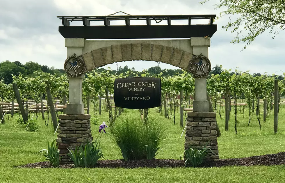 Cedar Creek Winery is a Great Place for Everyone offering Wine, Beer, & Spirits [Photos]