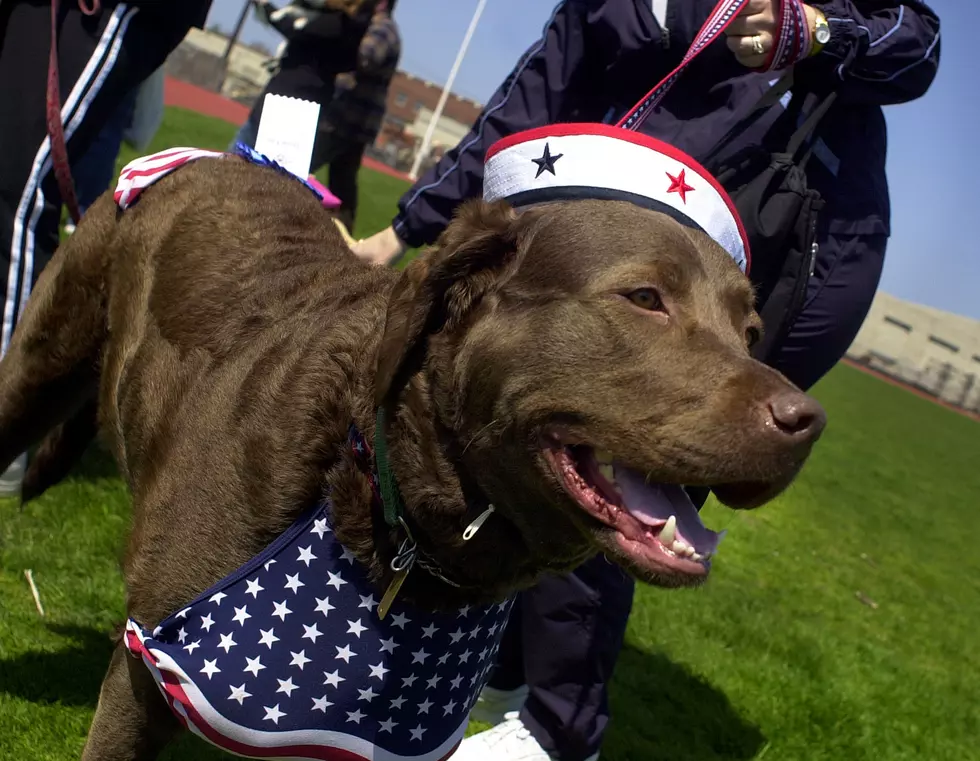 West Side Nut Club Pet Parade