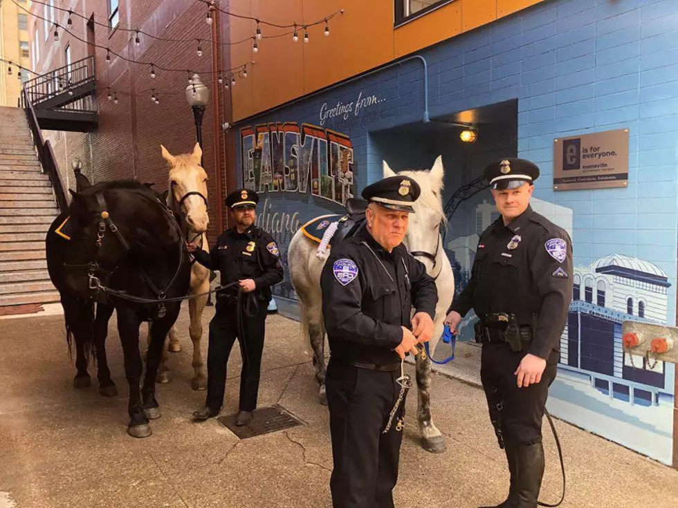 Even the EPD Horses Can&#8217;t Resist Photo Op in Downtown Evansville