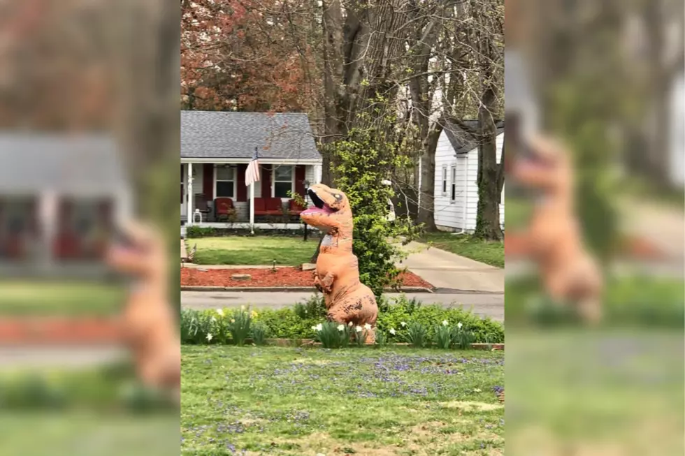 Evansville Woman Makes Neighbors Smile by Wearing T-Rex Costume