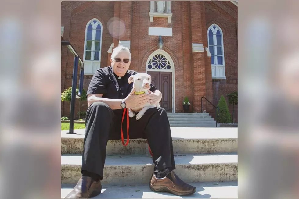 Divine Intervention: Kisska Finds New Life as a Therapy Dog