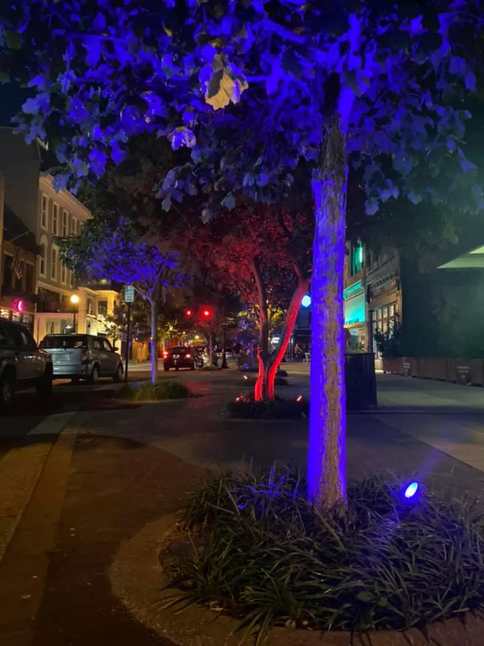 Downtown Evansville &#8216;Flips the Switch&#8217; with New Decorative Lights