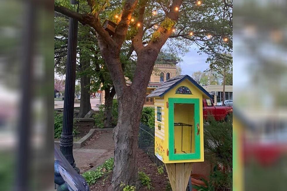 Donate New or Used Books to Evansville's 'Little Free Libraries'