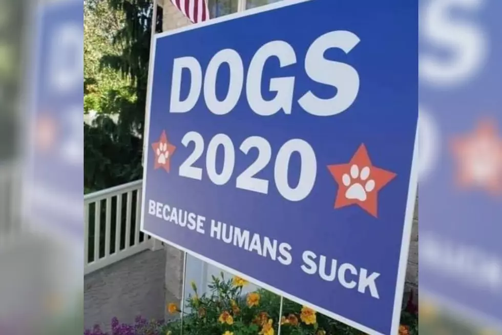 The Sign We Need in Our Yard; Vote Dogs 2020 Because Humans Suck