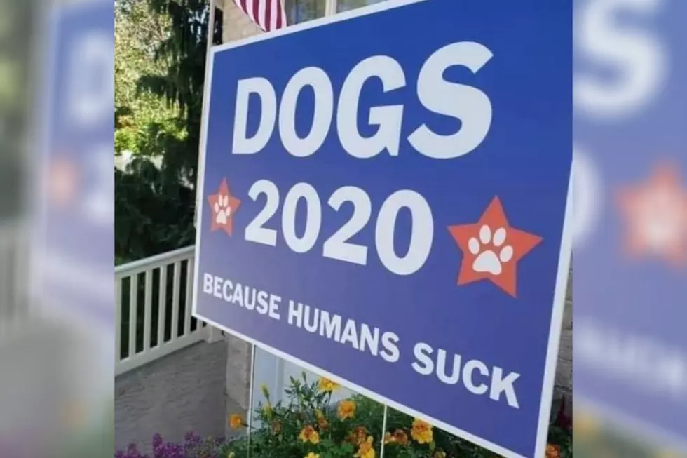 The Sign We Need in Our Yard; Vote Dogs 2020 Because Humans Suck 