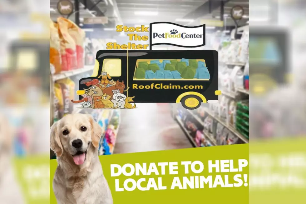 Help us &#8216;Stock the Shelters&#8217; and Donate to Help Local Animals