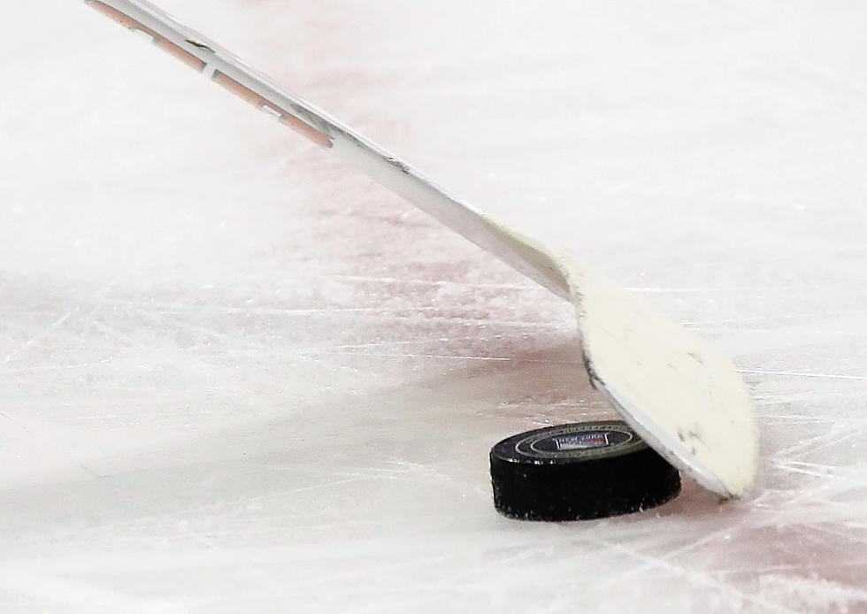 Evansville Hoses Host Charity Hockey Game for It Takes a Village