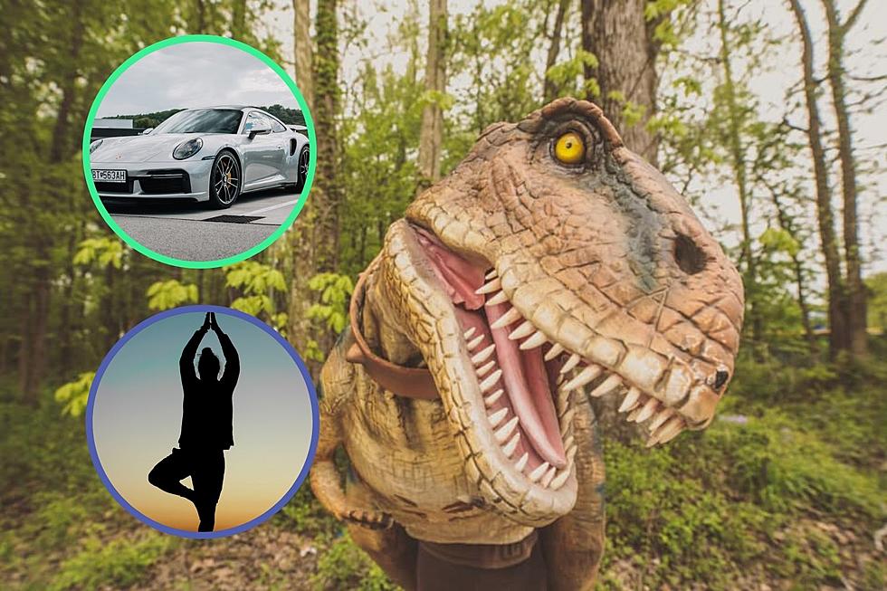 Super Saturday Returns to Evansville Museum With Cool Cars, Dinosaurs, Yoga and More