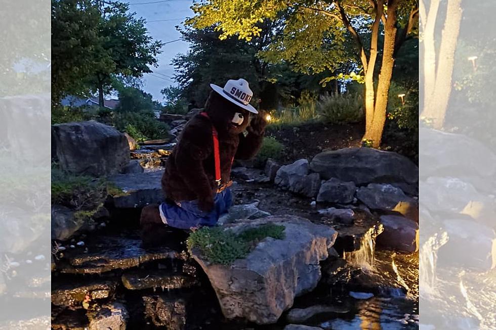 Bear Sighting of a Different Kind &#8211; Smokey the Bear Spotted in Princeton