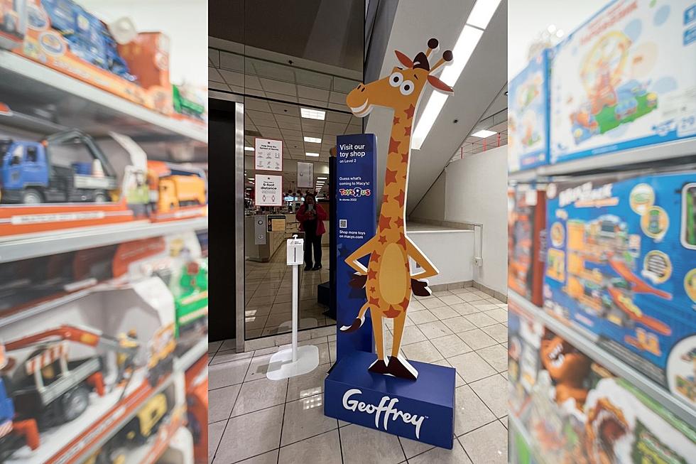 Celebrate the Return of Toys “R” Us to Evansville with TikTok Duet