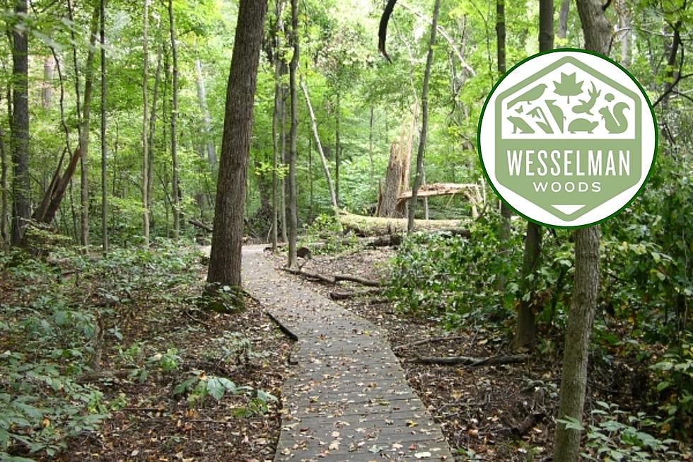 Wesselman Woods Offers Master Naturalist Certification Courses for Indiana Nature Lovers