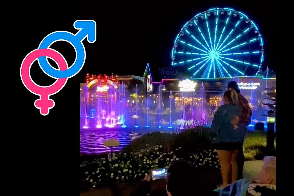 Pigeon Forge, TN Attraction is the Perfect Backdrop for Couple’s Gender Reveal [Watch]
