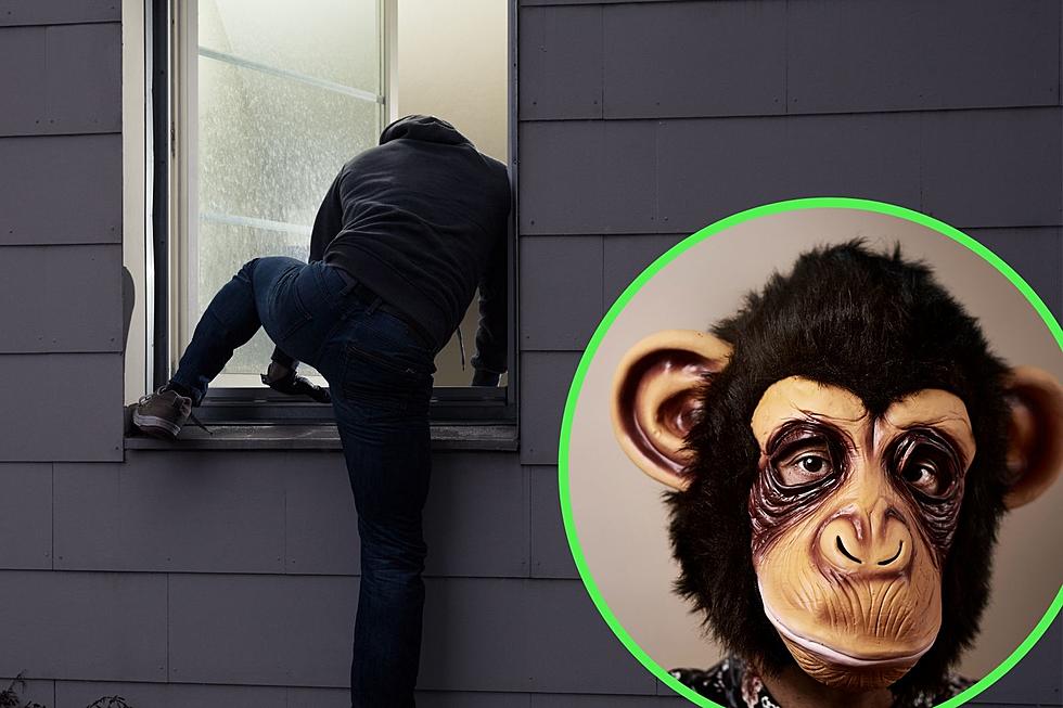 No Monkey Business – A Jasper Indiana Man Accused of Wearing a Gorilla Mask to Burglarize a Home
