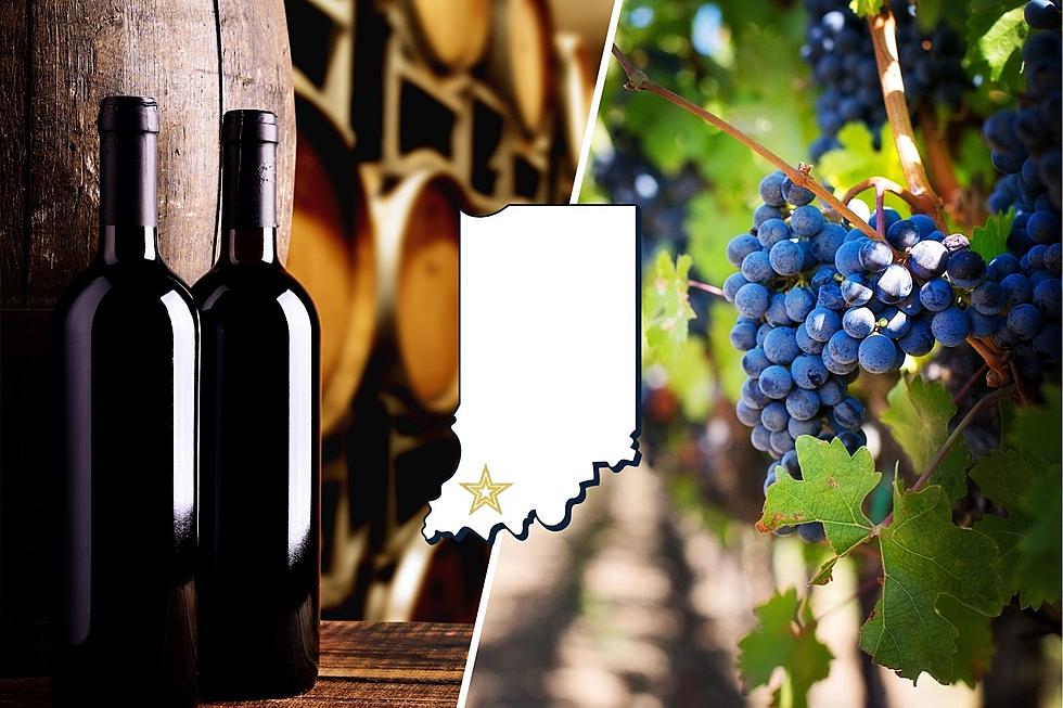 You&#8217;ll Have a &#8216;Grape&#8217; Day When You Visit These Southern Indiana Wineries