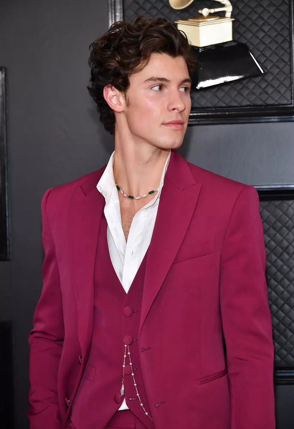 62nd Annual GRAMMY Awards - Arrivals