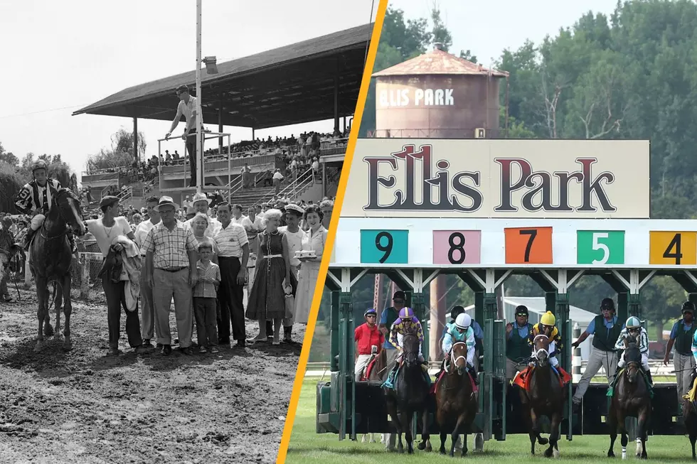 Celebrate 100 Years of Excitement at Henderson, Kentucky’s Ellis Park